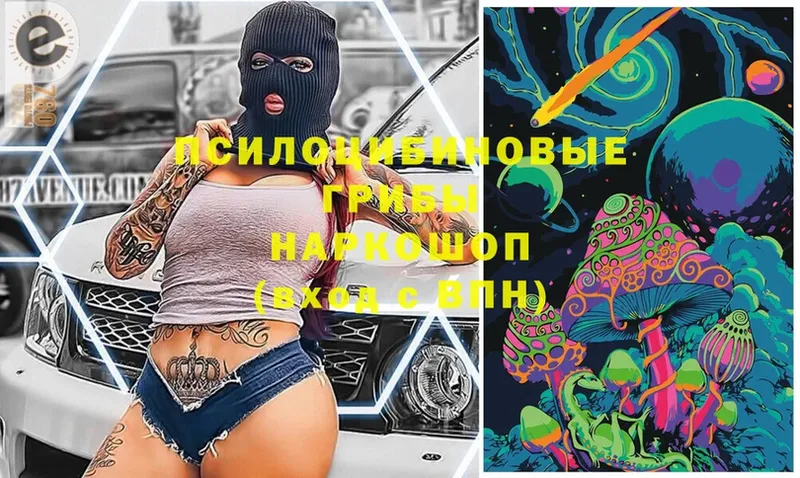 Галлюциногенные грибы мухоморы  что такое   OMG tor  Жуковка 